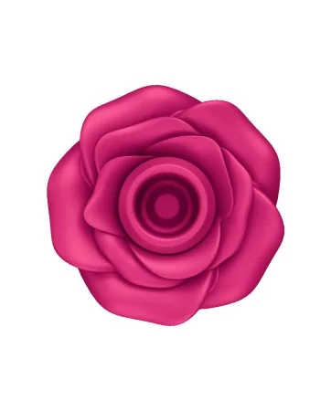 Stimulateur clitoridien Satisfyer Pro 2 Classic Blossom